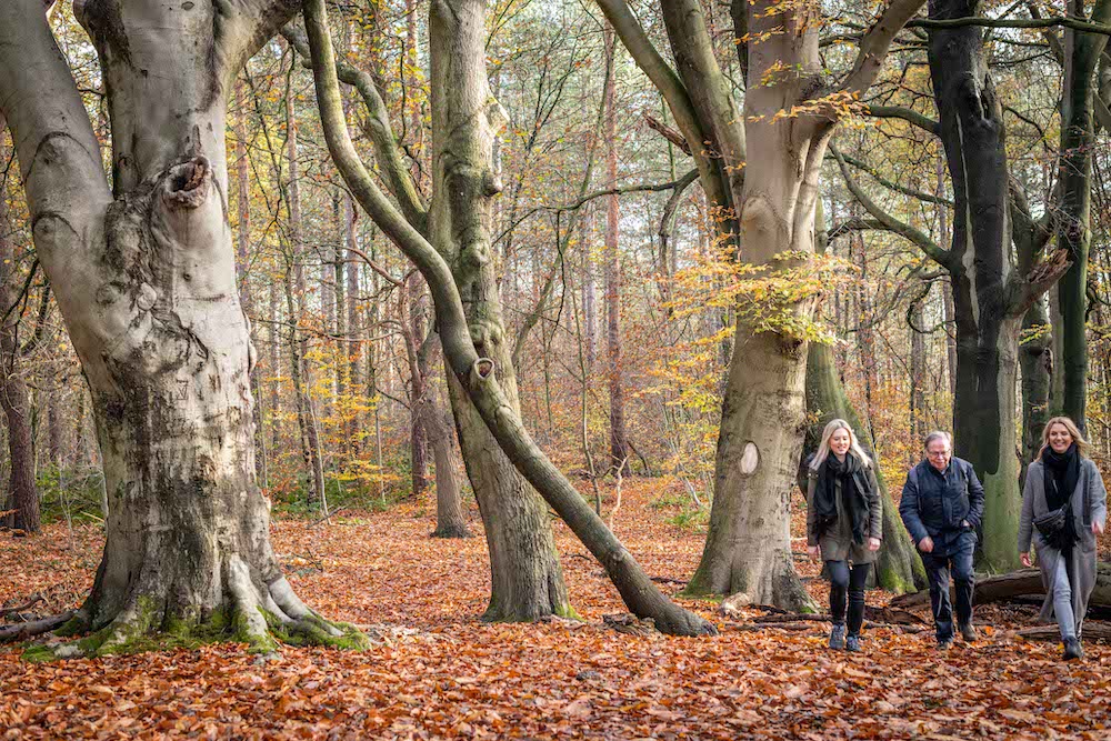 Herfst-shoot Hoefaart