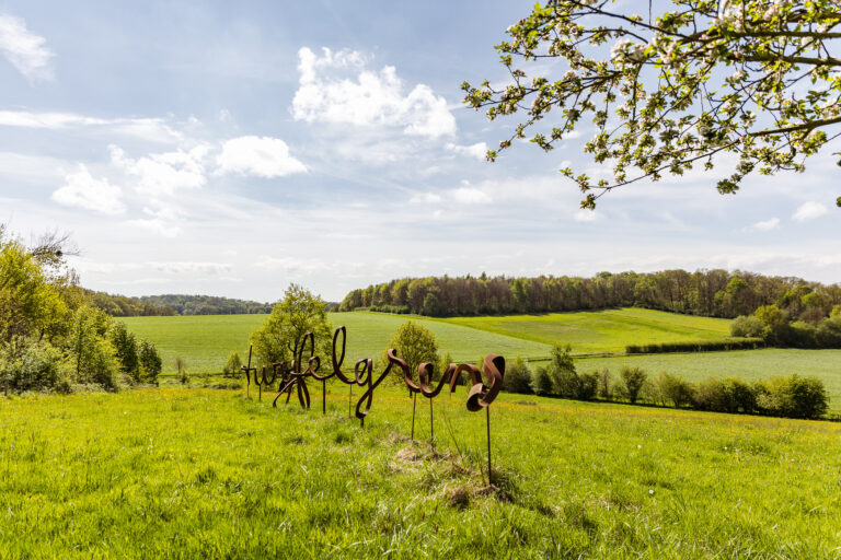 Bloesemshoot_Twijfelgrens_AnnelienGeenen_WEB005