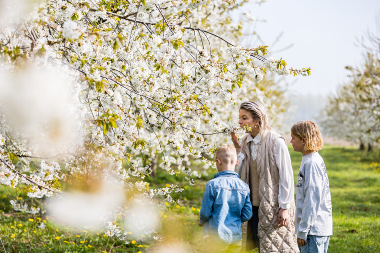 wandelen en fietsen