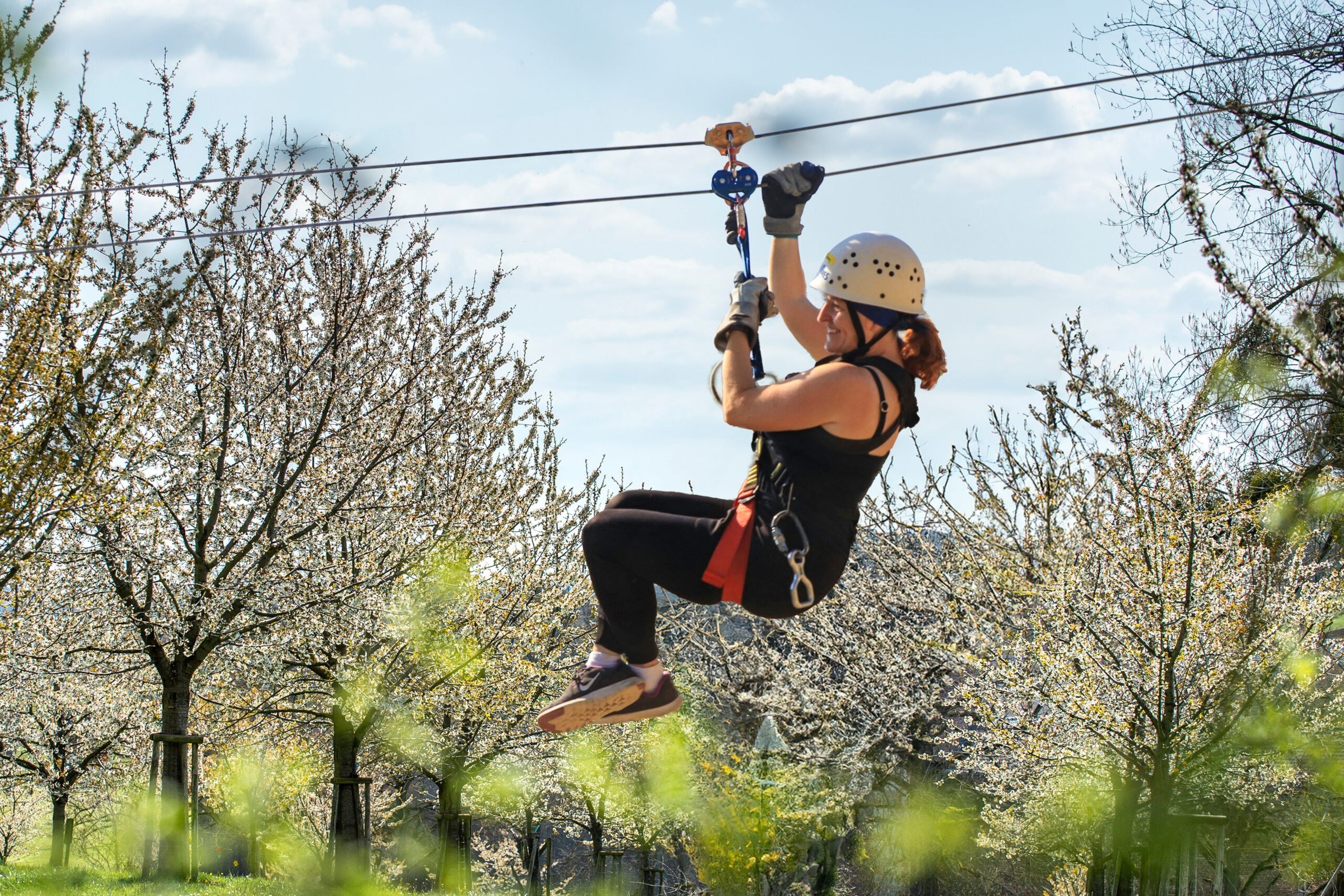 bloesem-zipline