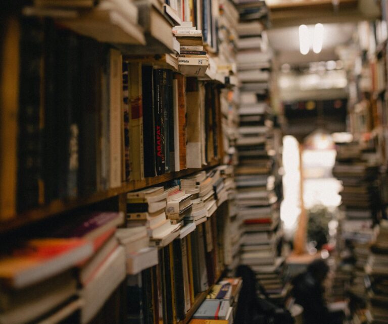 pexels-guiirossi-2553425