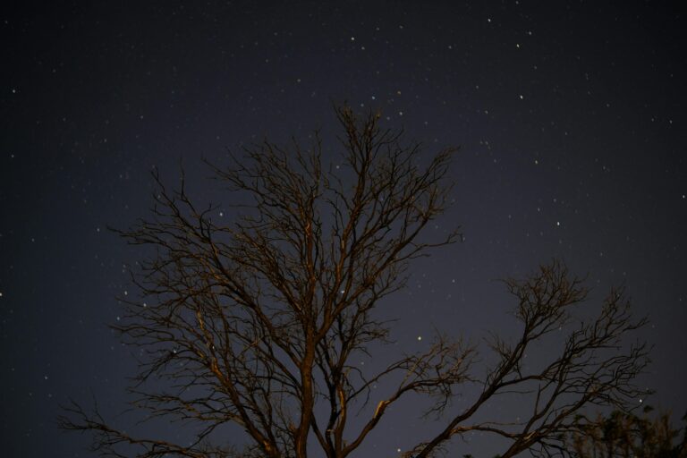 pexels-oguz-sahan-1346071516-34255953