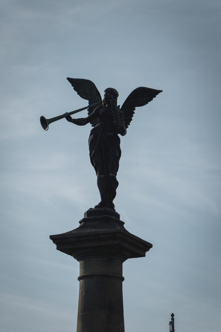 Copyright Stijn Anthonissen