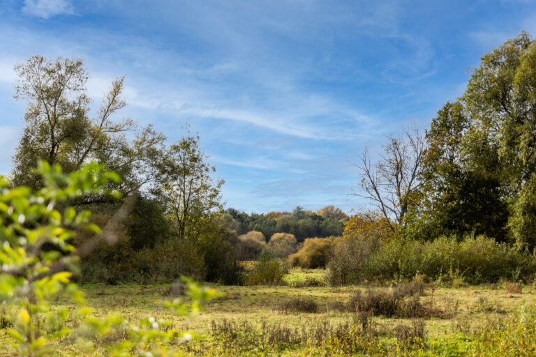 Kevie_Medialife_WEB003