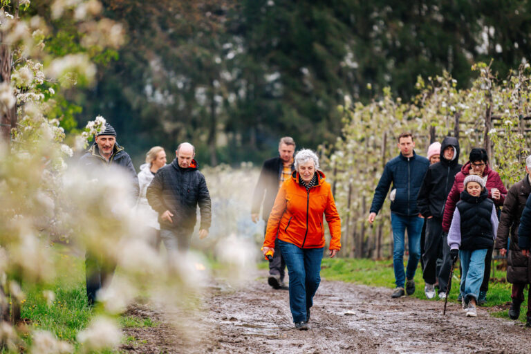Toerisme-Sint-Truiden-Vuurbloesemwandeling-20230422-WEB-009