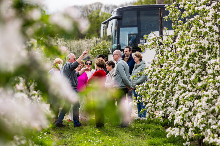 Toerisme Sint-Truiden